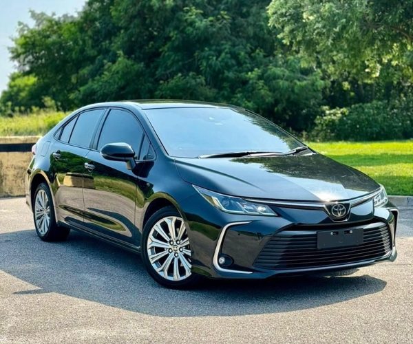 sedan-vip-transfer-executivo